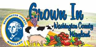 Washington County Agricultural and Education Center has many activites for young and old.