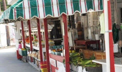 Shop for flowers, herbs, vegetbale plants nad garden décor at Cronise Market Place  near Hagerstown 